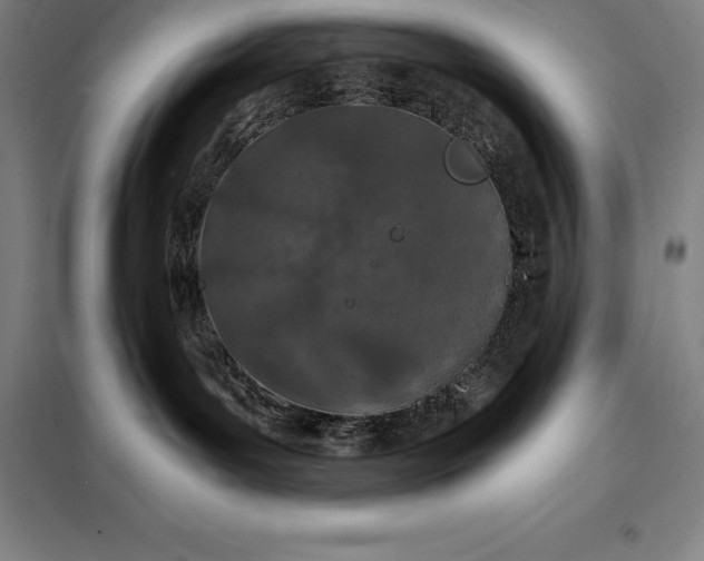 X0000098140143200805011352