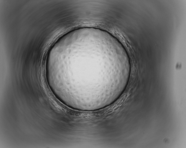 X0000098140145200805011352
