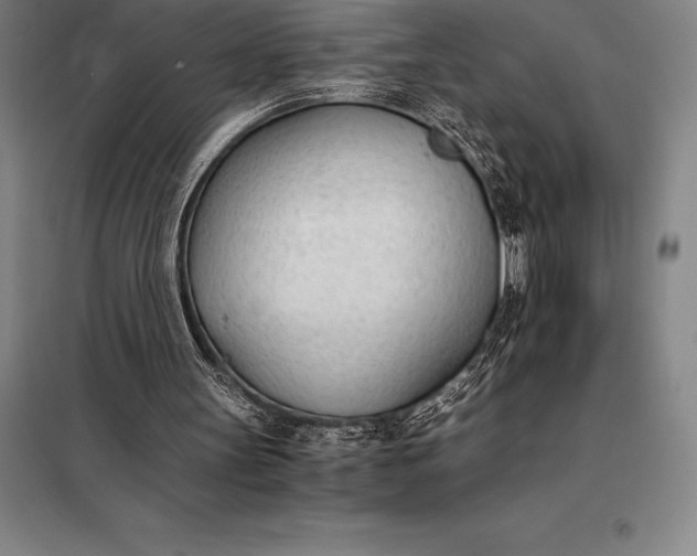 X0000098140147200805011352