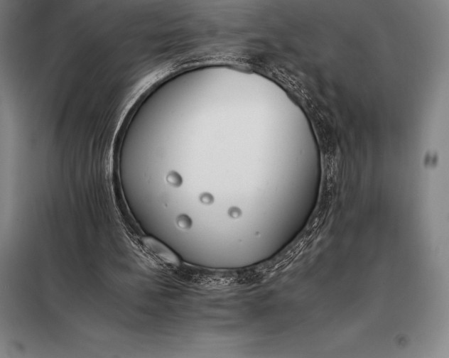 X0000098140148200805011352