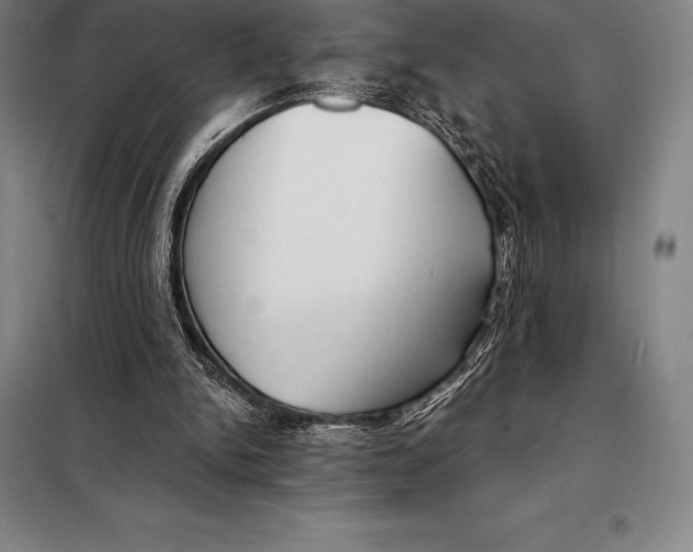X0000098140150200805011352