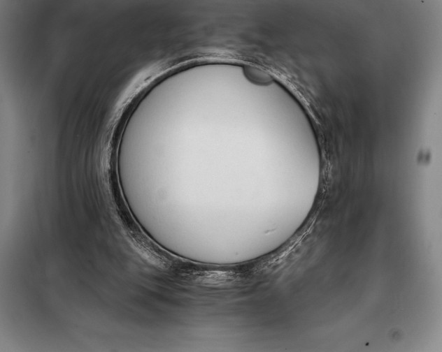 X0000098140151200805011352