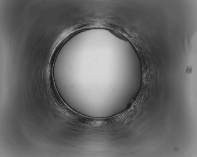 X0000098140152200805011352