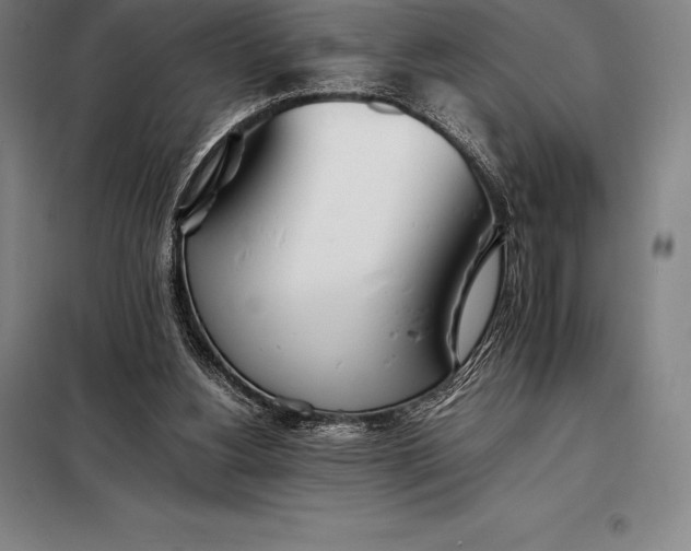 X0000098140156200805011352