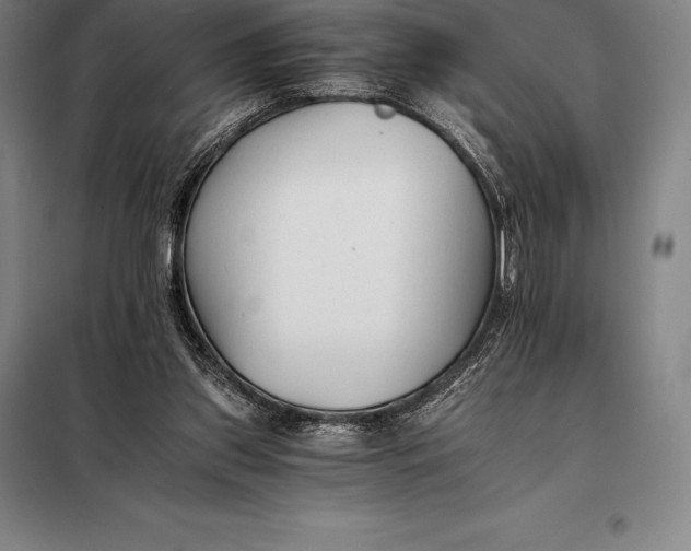 X0000098140157200805011352
