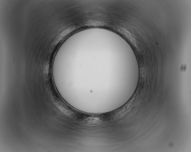 X0000098140159200805011352