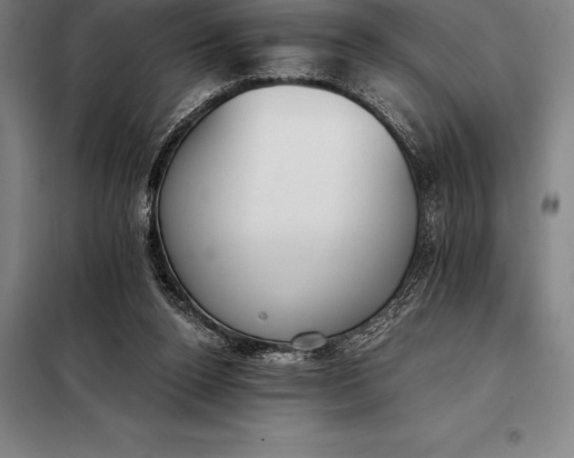 X0000098140160200805011352