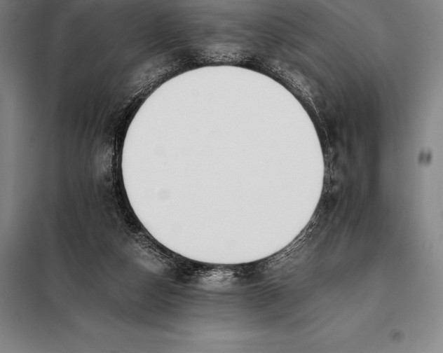 X0000098140162200805011352