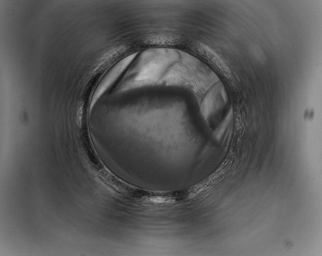 X0000098140163200805011352