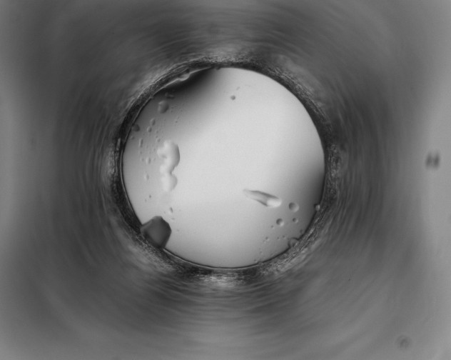 X0000098140164200805011352