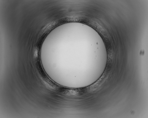 X0000098140166200805011352