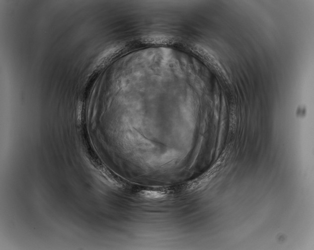 X0000098140167200805011352