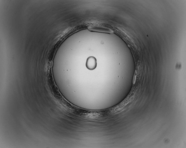 X0000098140168200805011352