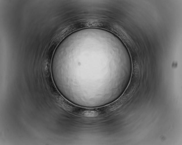 X0000098140169200805011352