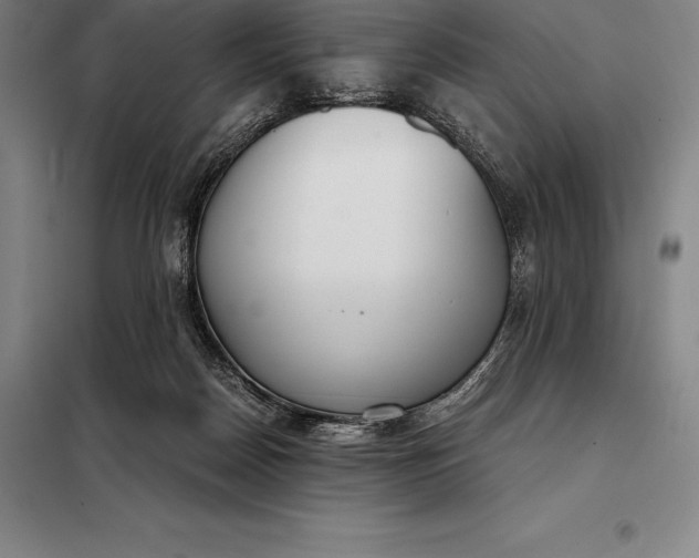 X0000098140170200805011352