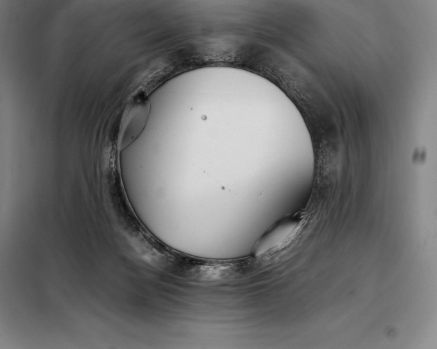 X0000098140172200805011352