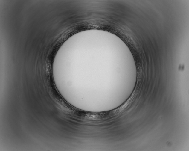 X0000098140174200805011352