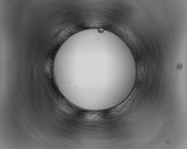 X0000098140175200805011352