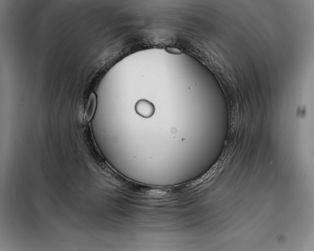 X0000098140176200805011352