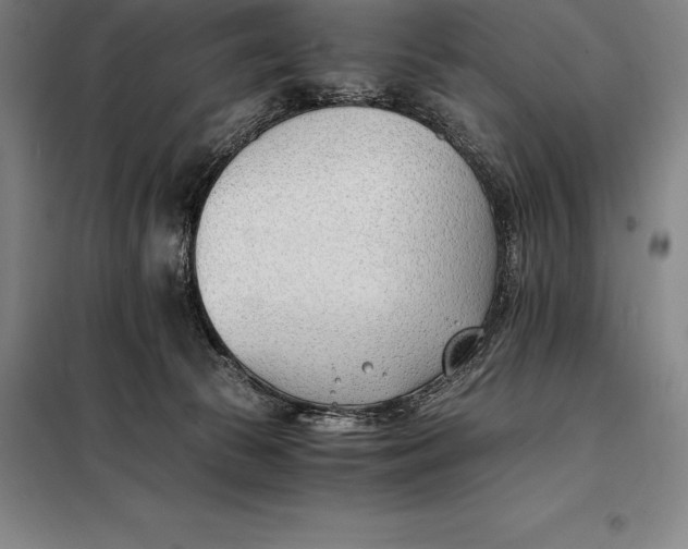 X0000098140177200805011352