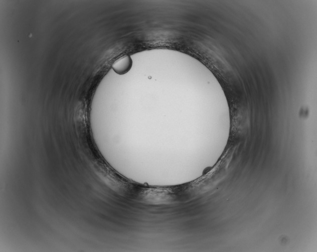 X0000098140179200805011352