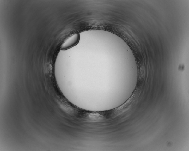 X0000098140183200805011352