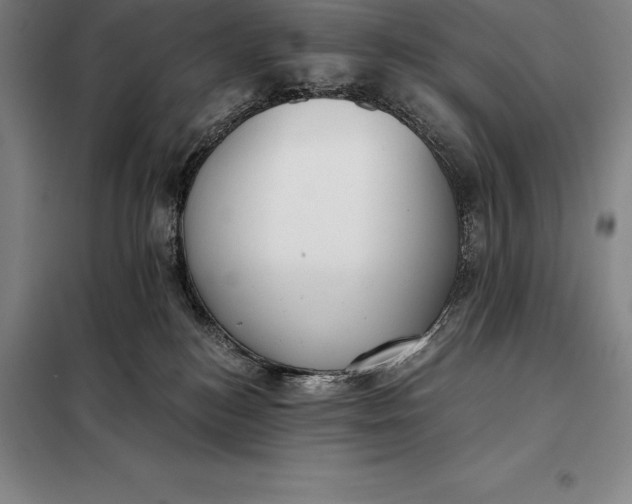 X0000098140184200805011352