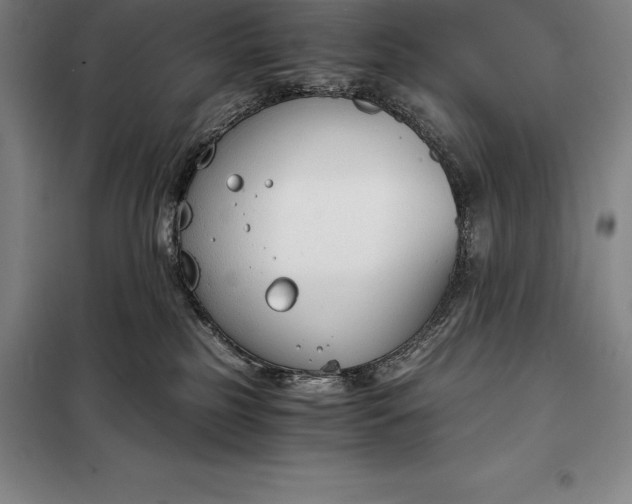X0000098140185200805011352