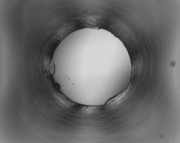 X0000098140186200805011352