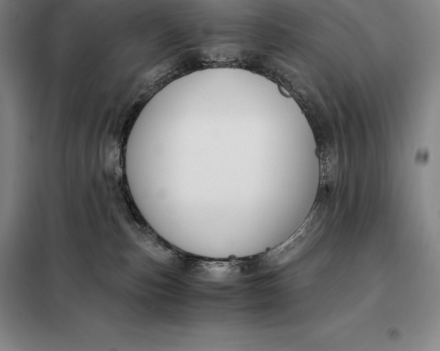 X0000098140187200805011352