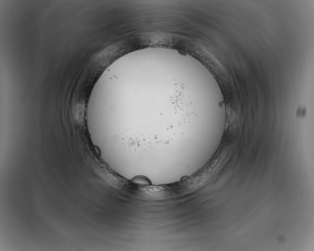 X0000098140189200805011352