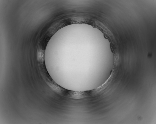 X0000098140191200805011352