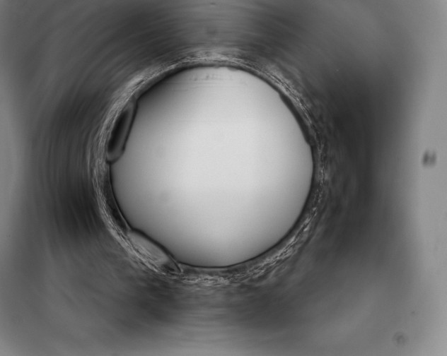 X0000098140193200805011352