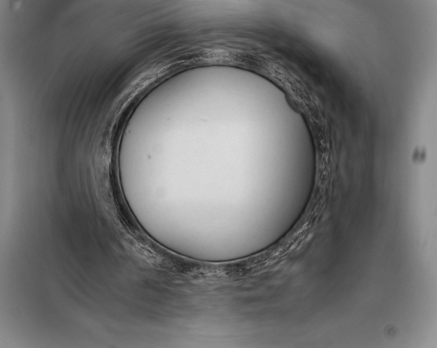 X0000098140194200805011352