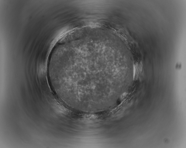 X0000098140195200805011352