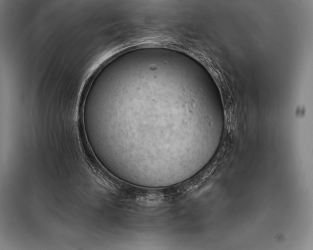 X0000098140196200805011352