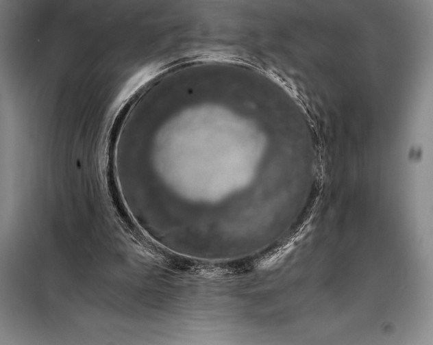 X0000098140199200805011352