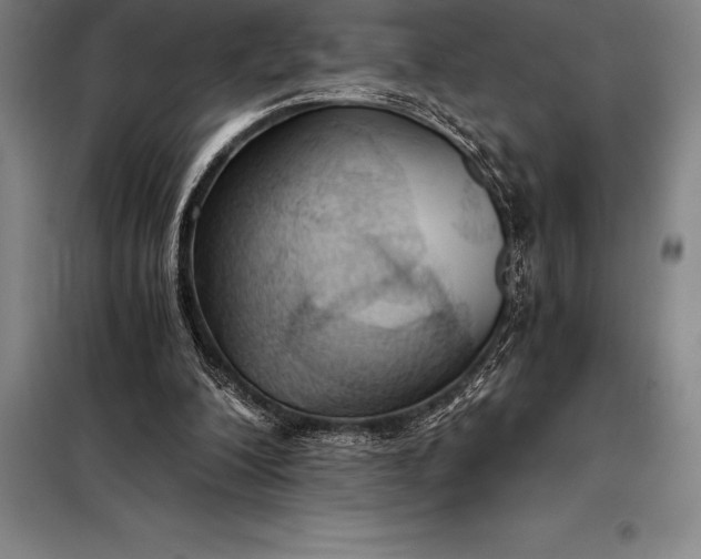 X0000098140200200805011352