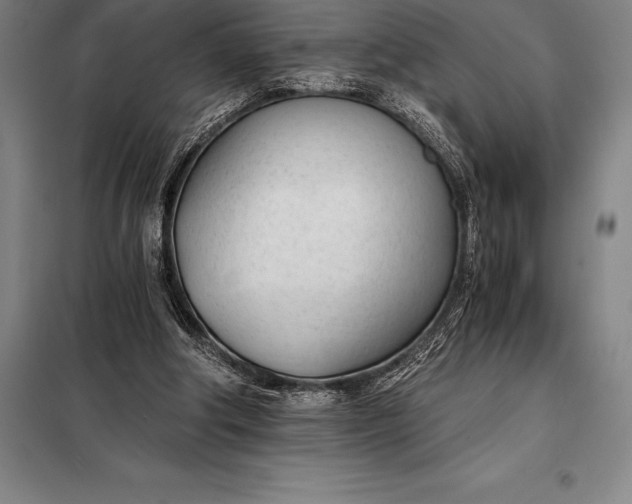 X0000098140202200805011352