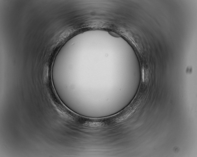 X0000098140205200805011352