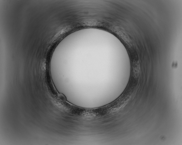 X0000098140207200805011352