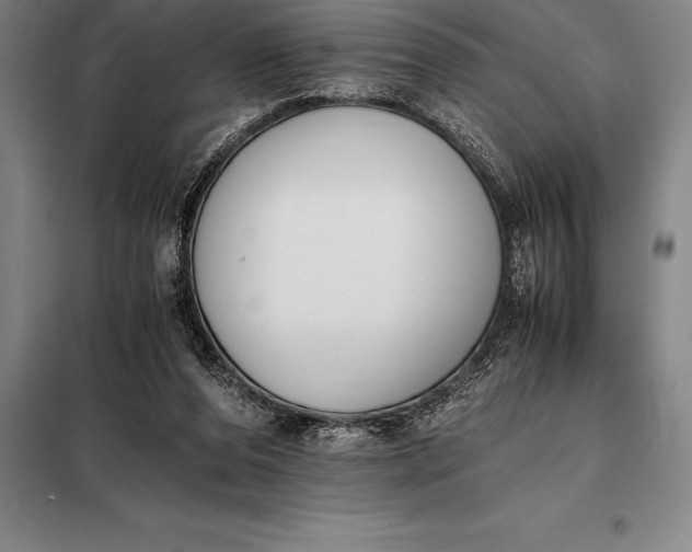 X0000098140208200805011352
