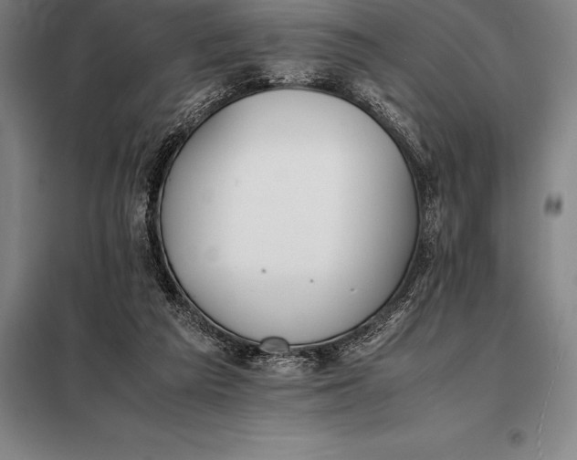 X0000098140209200805011352