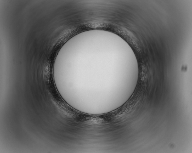 X0000098140210200805011352