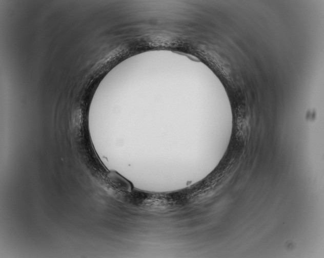 X0000098140211200805011352