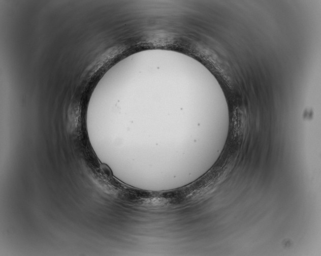 X0000098140212200805011352
