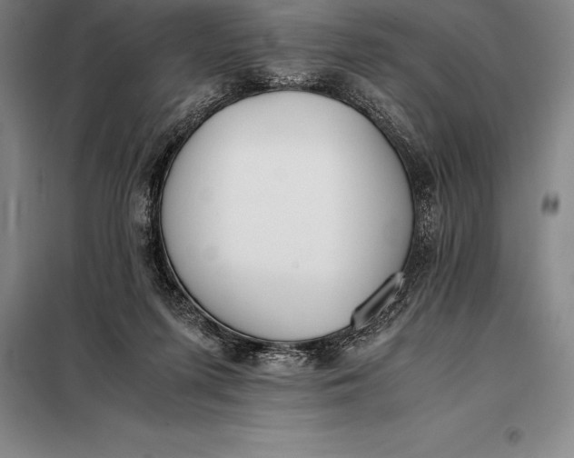 X0000098140215200805011351