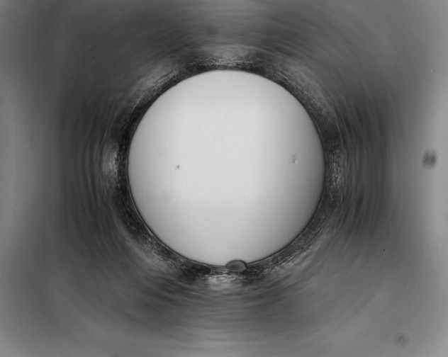 X0000098140216200805011351