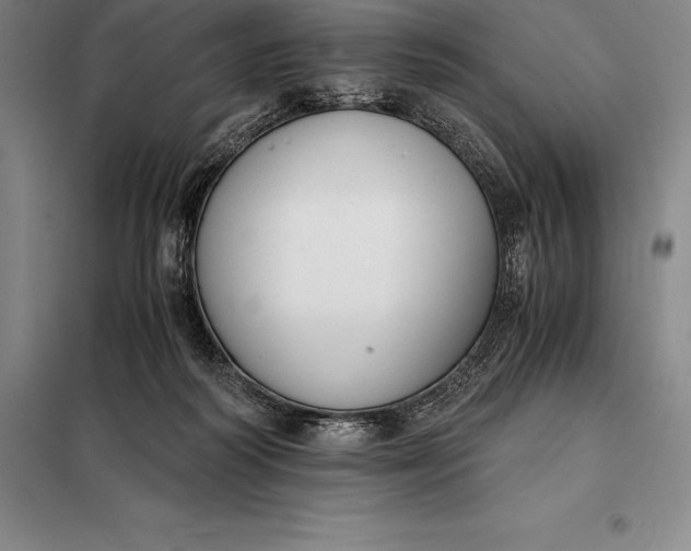 X0000098140218200805011351