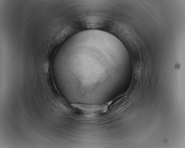 X0000098140219200805011351